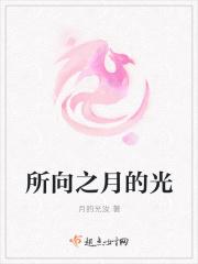 所向之月的光
