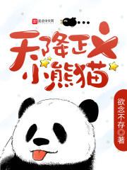 天降正义小熊猫