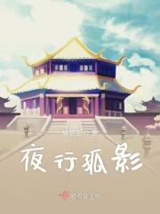 夜行孤影